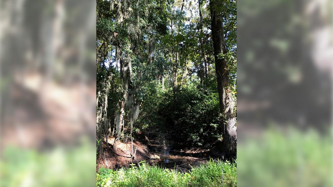 Shell Point, bounded by marsh on two and sometimes three sides, regularly floods. Beaufort County is planning to spend $7.5 million to improve drainage infrastructure while the South Carolina Department of Transportation is cleaning out silted-in ditches.