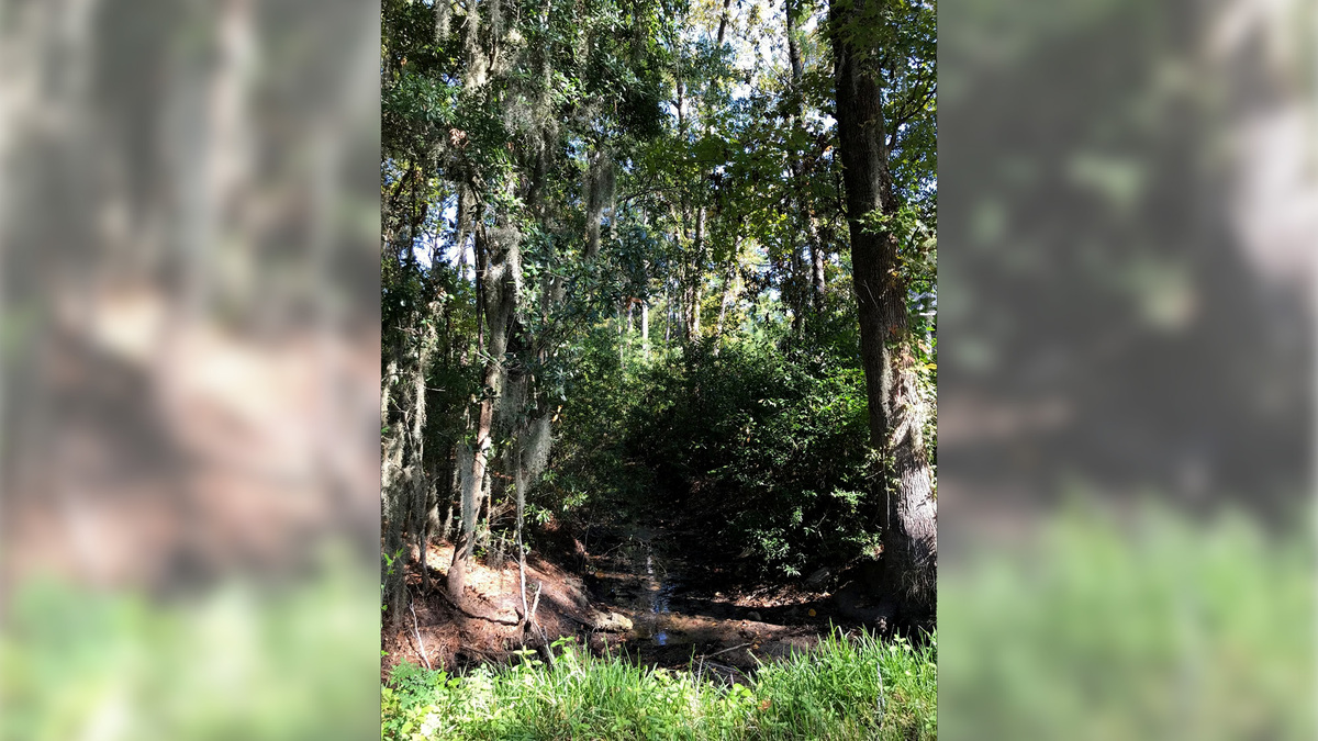 Shell Point, bounded by marsh on two and sometimes three sides, regularly floods. Beaufort County is planning to spend $7.5 million to improve drainage infrastructure while the South Carolina Department of Transportation is cleaning out silted-in ditches.