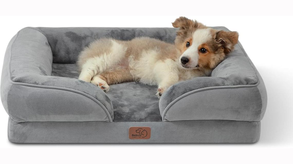 Daily Deal: This Bedsure Orthopedic Dog Bed comes in eight sizes and is on sale for up to 43% off