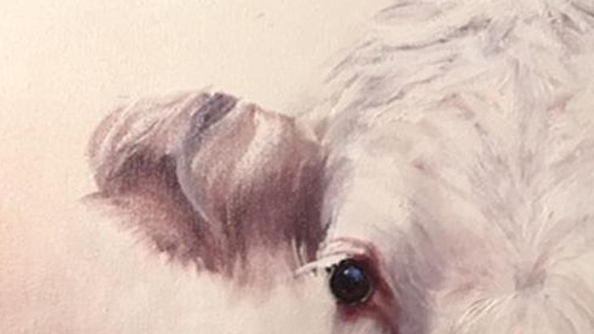 “Emma” the cow, a 20 x 25” oil on canvas, is by Susan Tarver.
