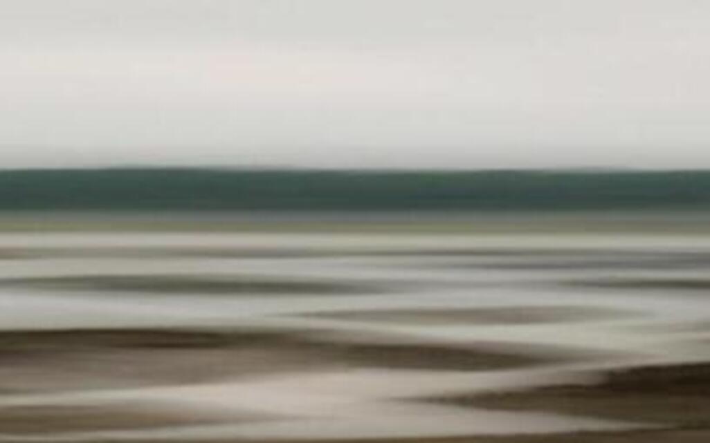 Photographer Peter Cram ‘supersizes’ the Lowcountry’s beauty