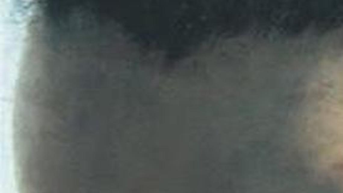 Are you a Lowcountry art lover? We’ve got just the exhibit for you