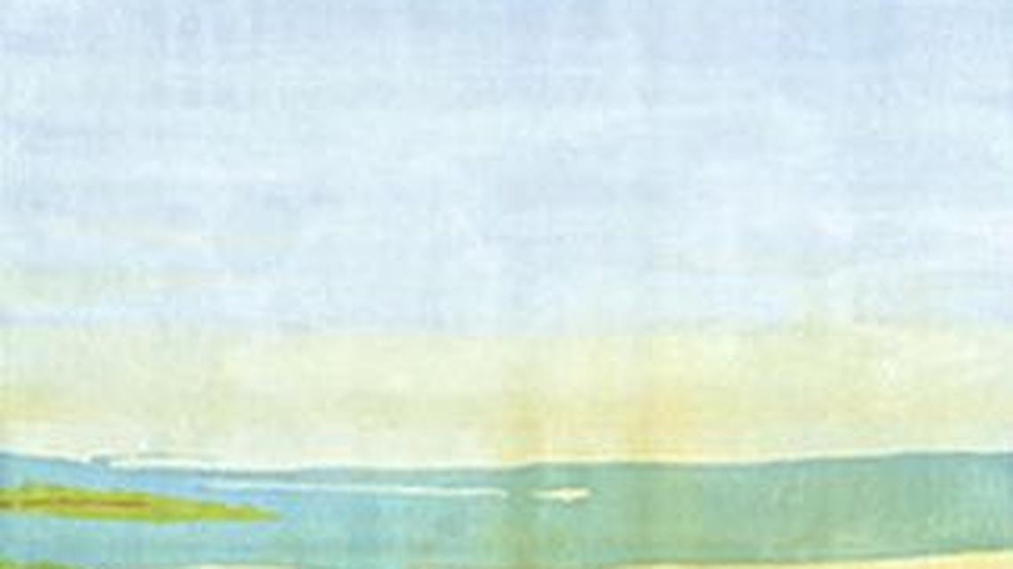 Lowcountry artists have big things happening in Charleston