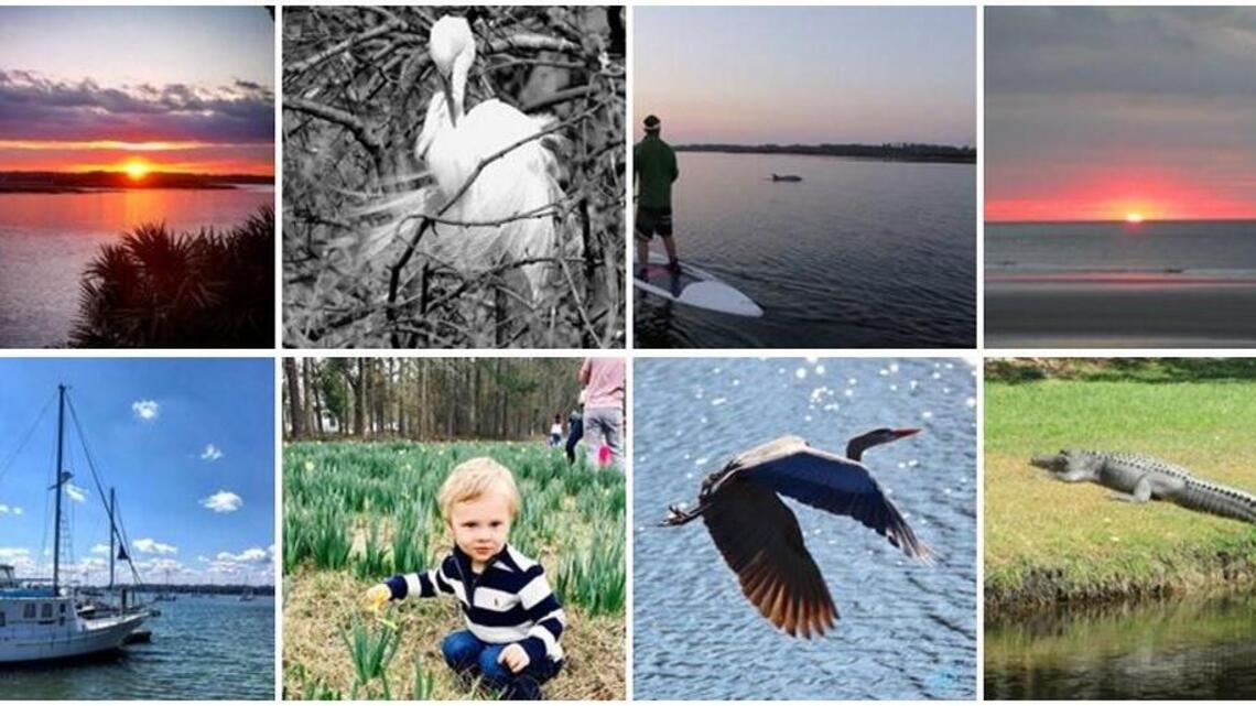 Who won our Spring in the Lowcountry contest? Here are our top 5 photographers