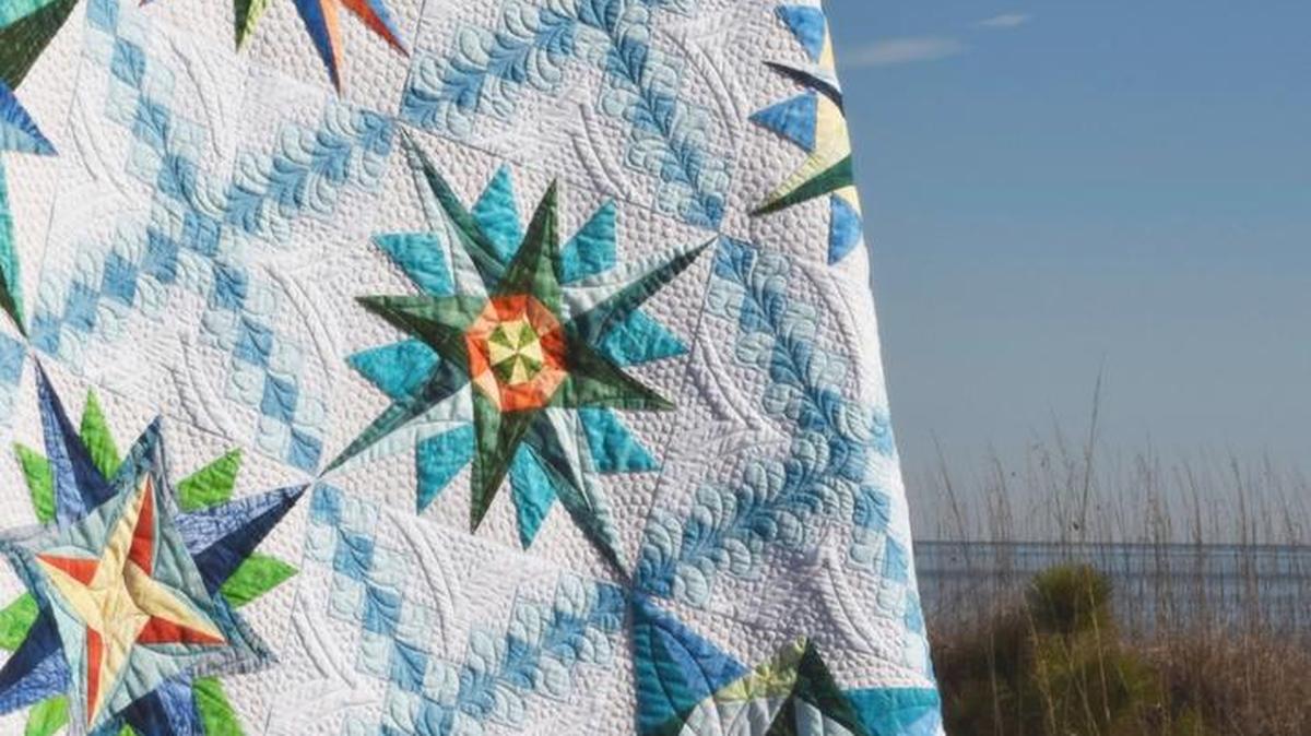 This quilt will be raffled off at the Palmetto Quilt Guild’s 2016 Quilt Festival.
