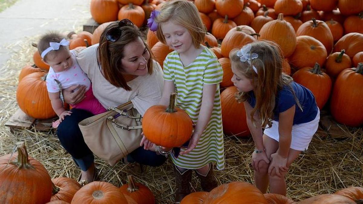 Christine Jezewski, left, of Beaufort, holds her youngest daugther Elena Jo, 7-months-old, while looking for the a pumpkin with her niece, Audrianna Smith, 4, center, and her oldest daugther Emily, 6, on Oct. 12, 2015, at Carteret Street United Methodist Church in Beaufort. Delayna Earley