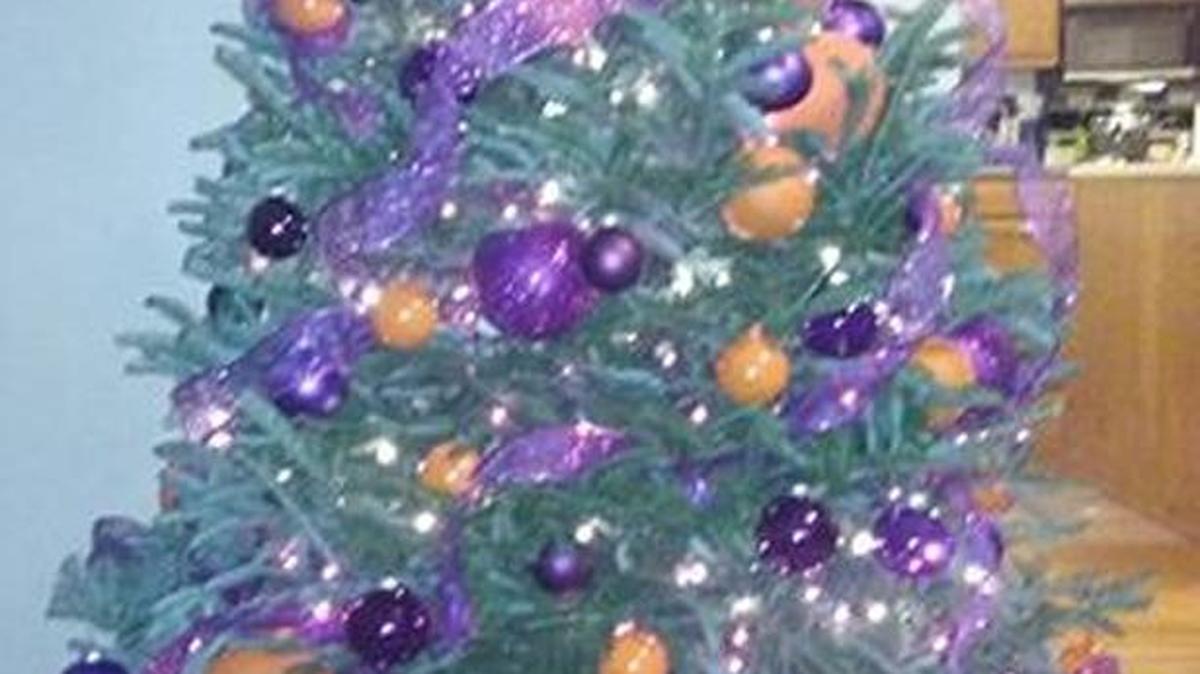 Donna Elaine Perry: My Clemson tree.