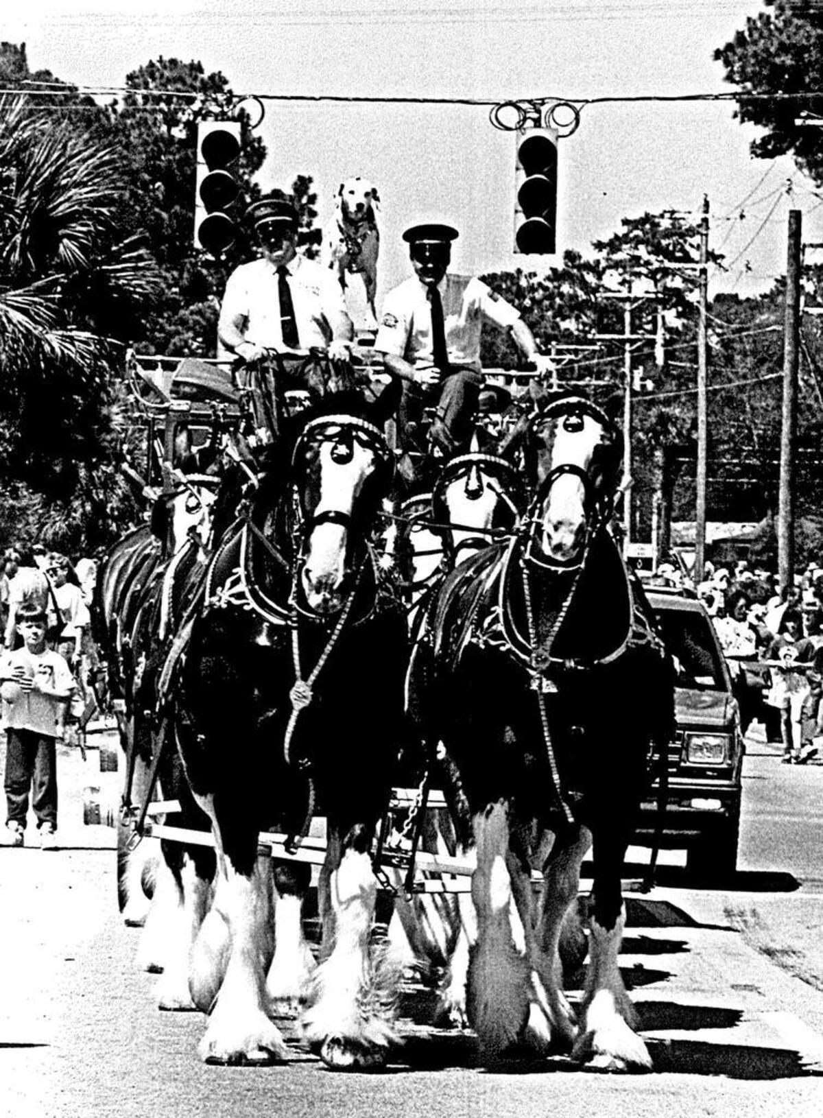 Clydesdales march down Pope Avenue for the Hilton Head St. Patrick’s Day Parade on March 18, 1989.