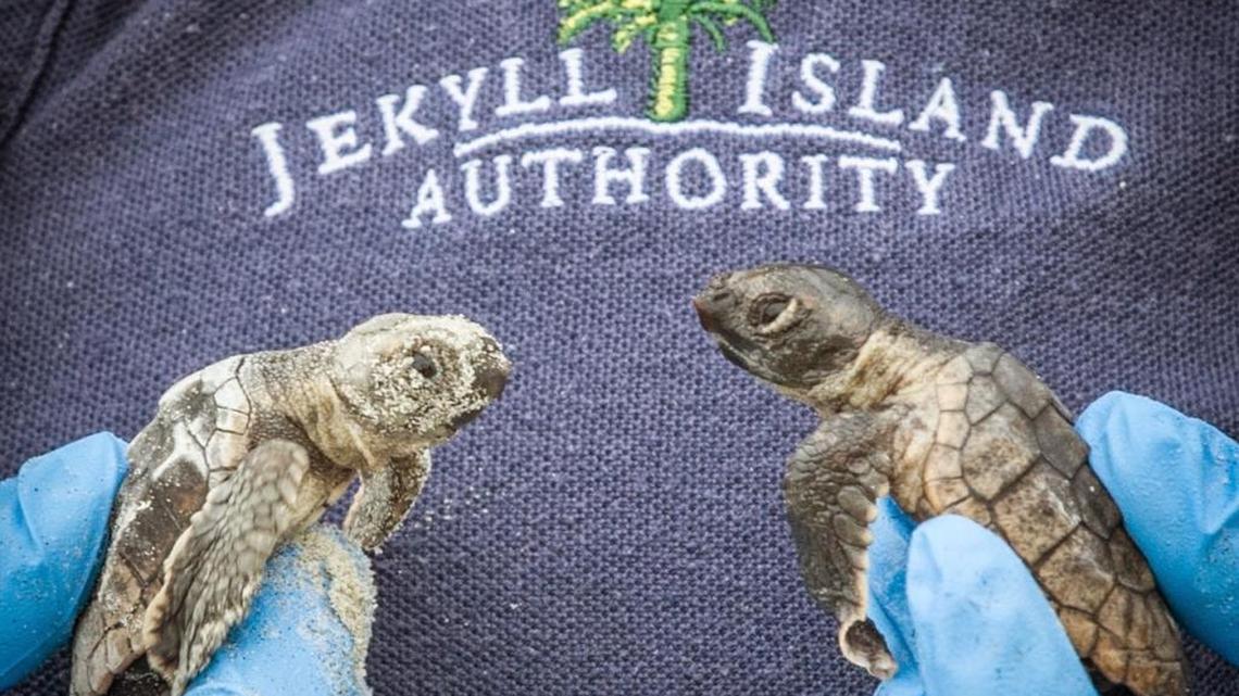 Mindy’s Outtakes: Jekyll Island’s ‘Whiskey, Wine & Wildlife’ starts Friday