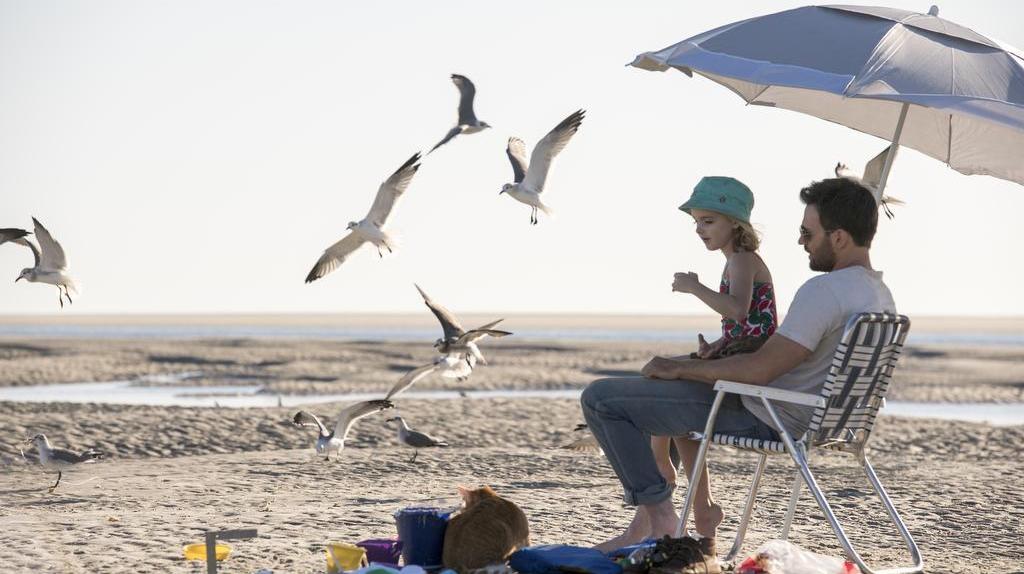 Scenes from 'Gifted'