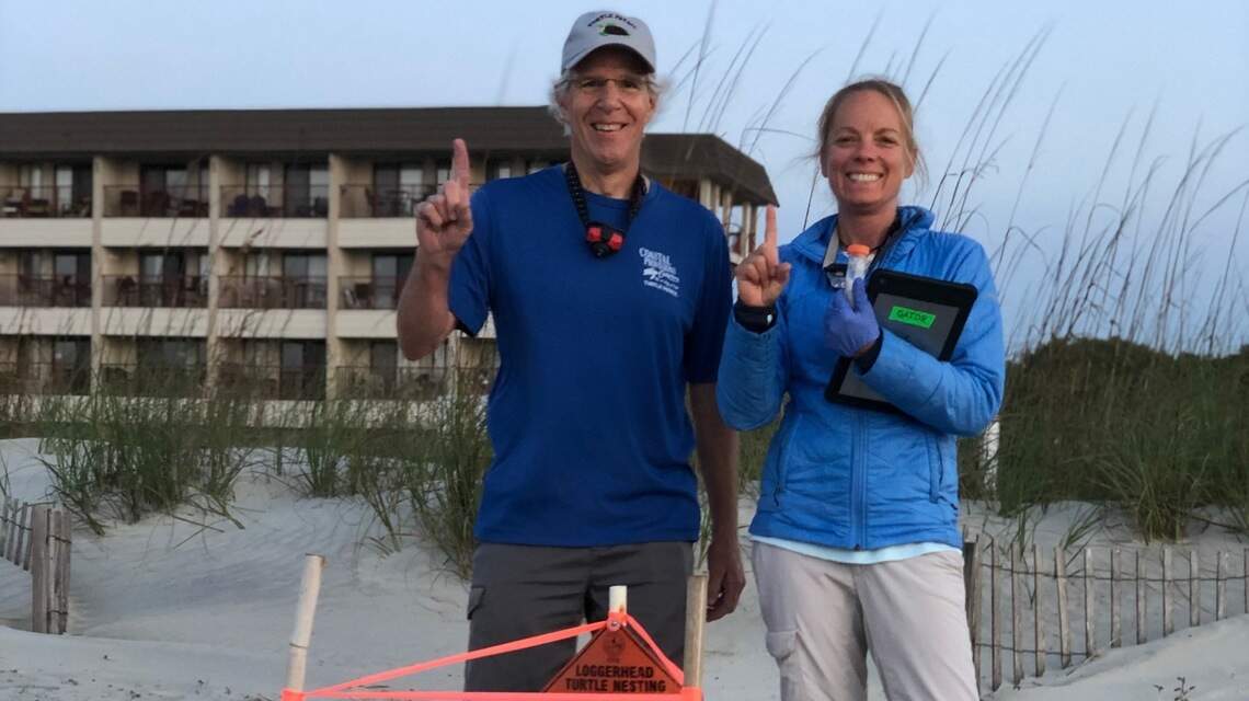 They’re baaaack! Hilton Head reports its first sea turtle nest of 2021 season