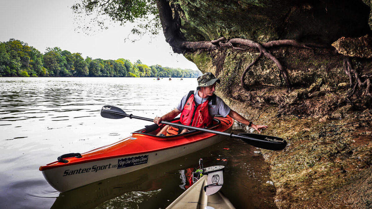 Like other Lowcountry rivers, sections of the Santee contain outcroppings and embankments of limestone and marl. Marl is similar to limestone but contains clay as well as calcium carbonite. Kayaker Jimmy Steinmetz of Hilton Head Island pauses to examine the embankment in search of fossils and other curiosities that are often found in this sedimentary rock.