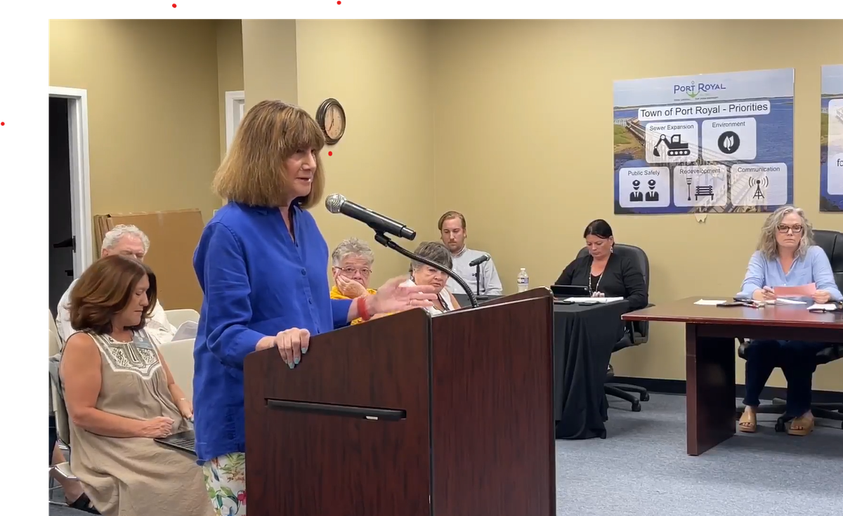 Rebecca Bass speaks about personal storage units at a Port Royal Town Council meeting earlier this month. Bass proposed storage units be removed as an acceptable use from the T4 Neighborhood Center-Open zoning district.