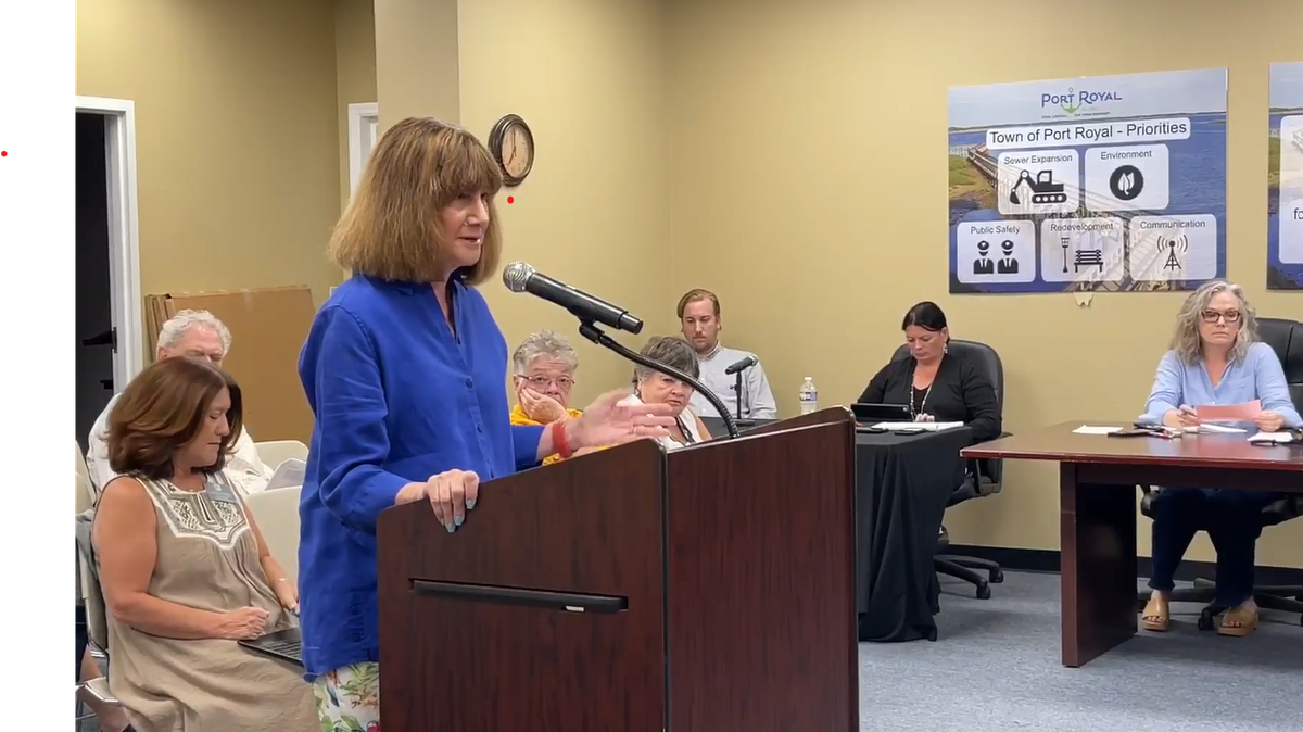 Rebecca Bass speaks about personal storage units at a Port Royal Town Council meeting Wednesday. Bass is proposing that storage units be removed as an acceptable use from the T4 Neighborhood Center-Open Zoning District.