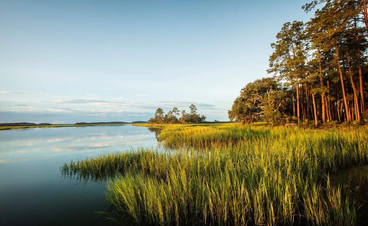 Palmetto Bluff, surrounded by 32 miles that touches the May River, is one of the largest private communities in Bluffton.