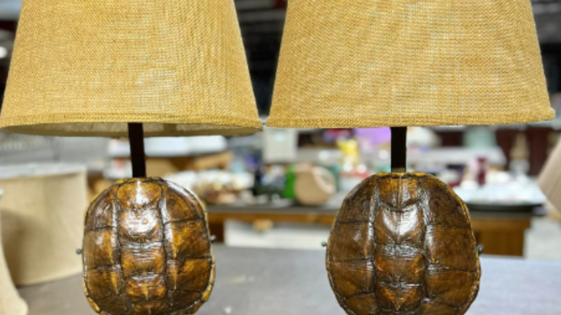 PETA wanted Murdaugh hunting trophies, turtle-shell lamps donated instead of sold