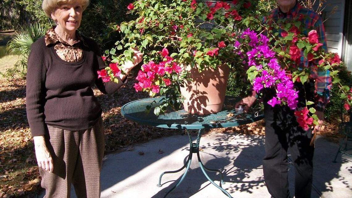 It's beginning to look like a Carolina winter out there