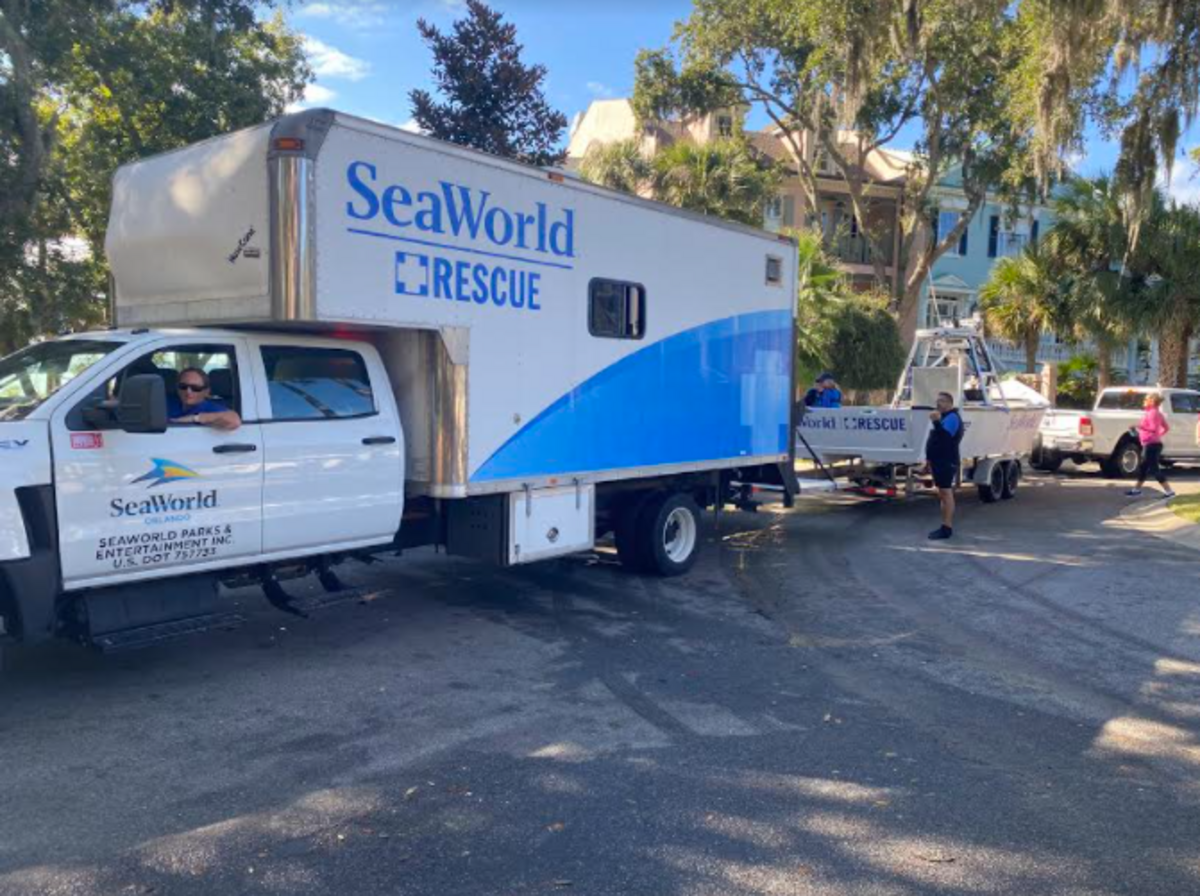 A SeaWorld Orlando rescue team truck Wednesday morning on Hilton Head.