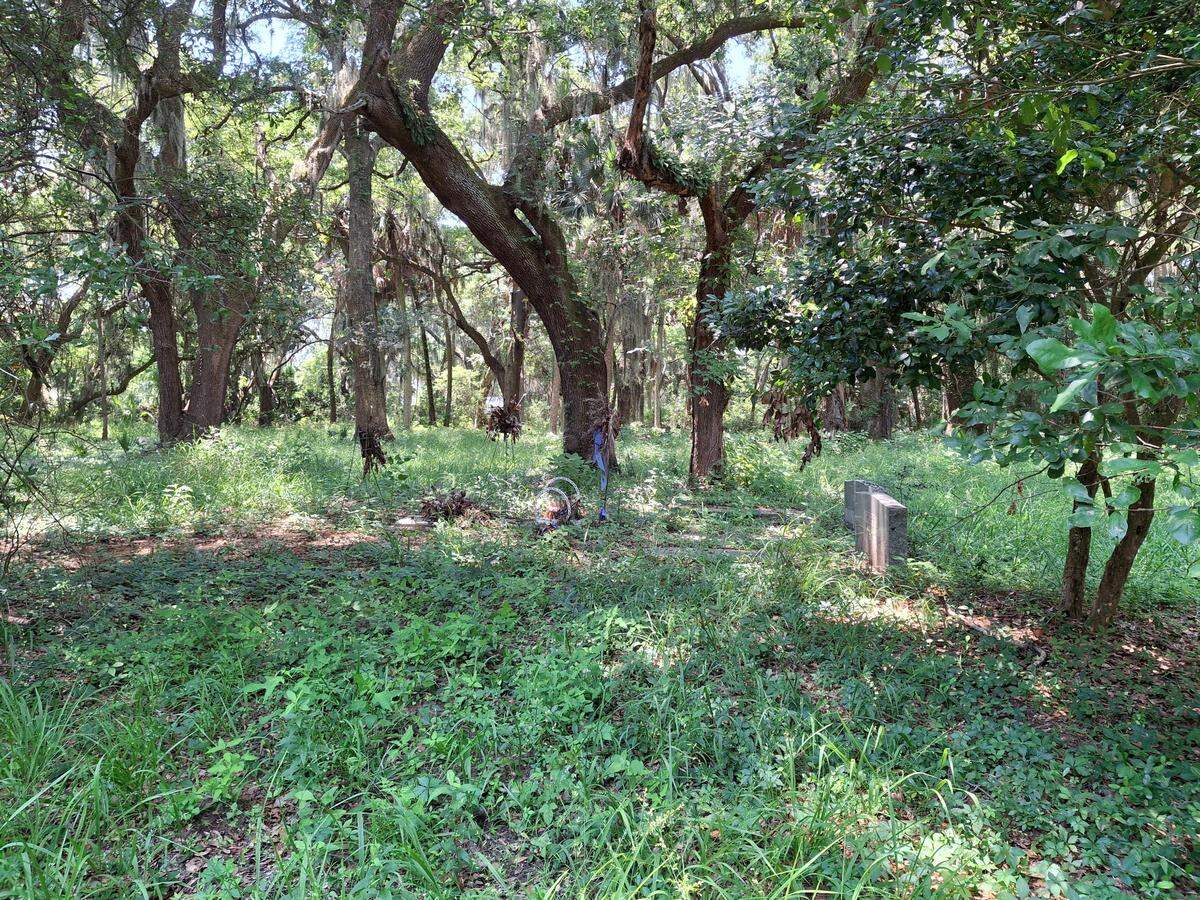 The Big House Cemetery on St. Helena Island, a historic Gullah-Geechee graveyard with sunken graves and massive trees, is at the center of an escalating dispute that has longtime islanders worried about losing access.