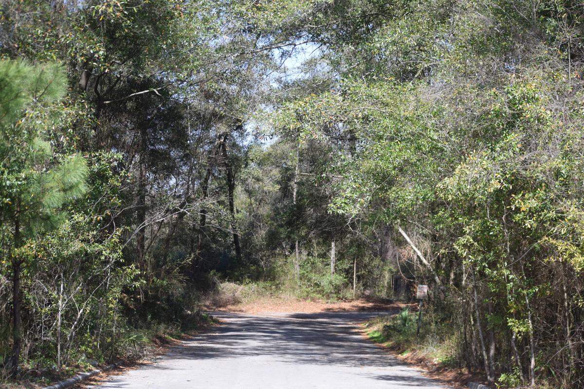 More than 12 acres of town-owned land located near the north-end Post Office on Hilton Head Island as seen on Feb. 22, 2022.