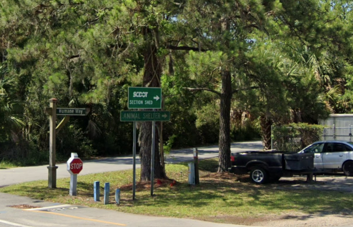 A Tennessee resident says an unidentifed suspect walloped his car with a hammer after he tried to turn around Saturday afternoon while lost on Hilton Head Island. Beaufort County deputies later found shattered plastic in the parking lot of 16 Spanish Wells Road, which serves as the parking lot for an iron works warehouse.
