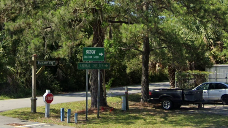 Hammer-wielding Hilton Head driver smashes visitor’s car in apparent road rage attack