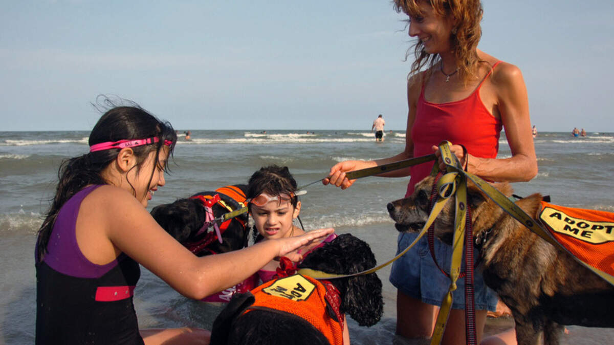 Walk by Faith Ministry founder and director Lara Love, right, watches as Glory, a blind cocker spaniel, gets some attention from Jerusalem Dominguez, 11, and her sister Genezareth, 4, on Sunday afternoon during a walk on Burkes Beach on Hilton Head Island.