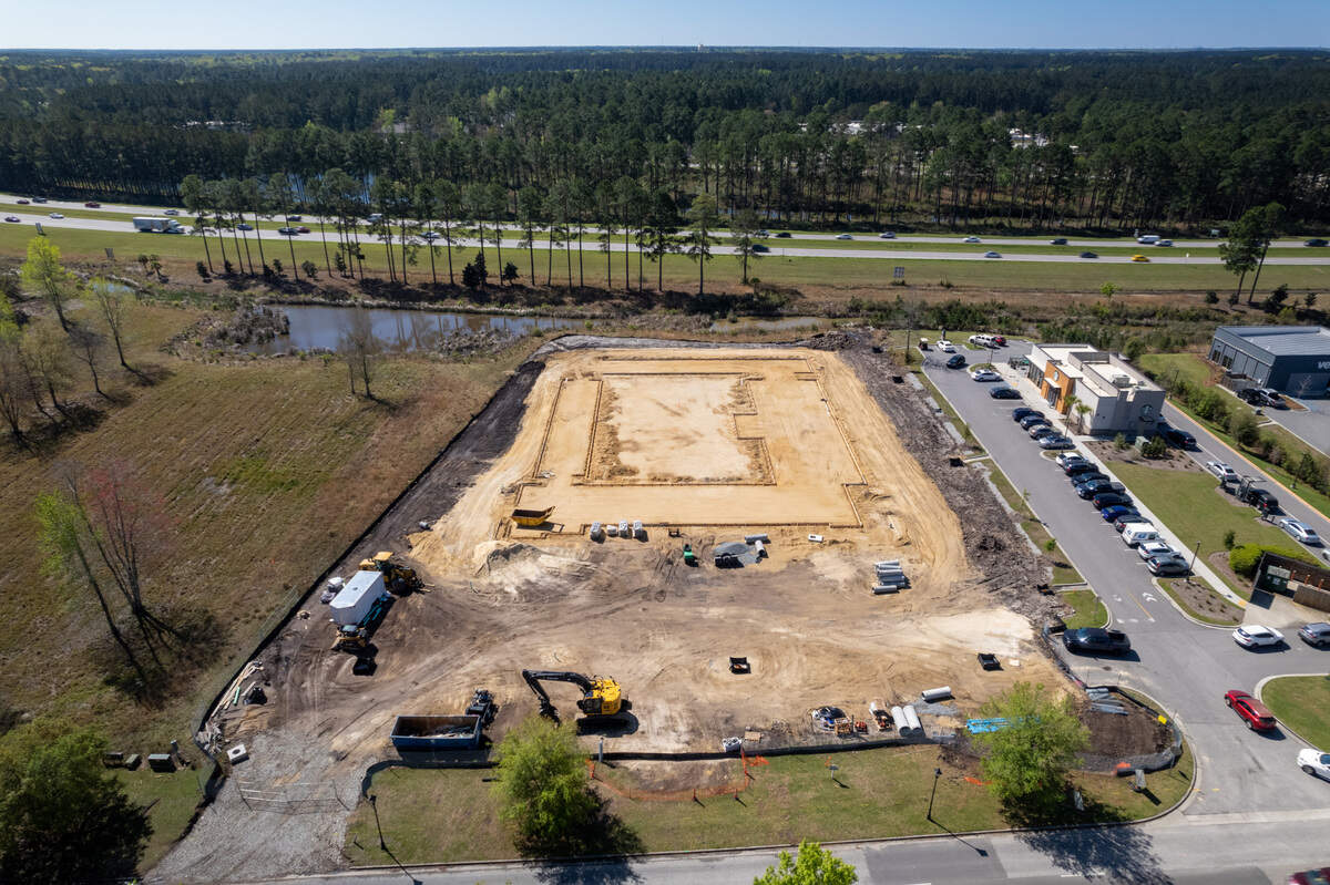 Pet Paradise construction