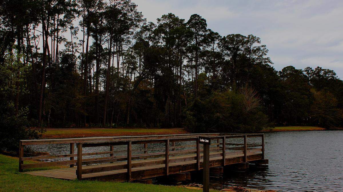 A fishing dock at Fish Island in the Sea Pines Forest Preserve is photographed here on March 12, 2026. The Sea Pines Forest Preserve announced plans to transform the property into a “premier community amenity” but officials declined to answer questions about the project.