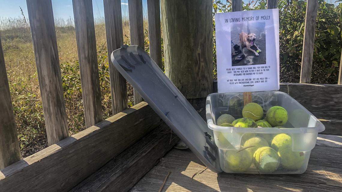 The story behind that box of tennis balls at a Hilton Head beach | Opinion