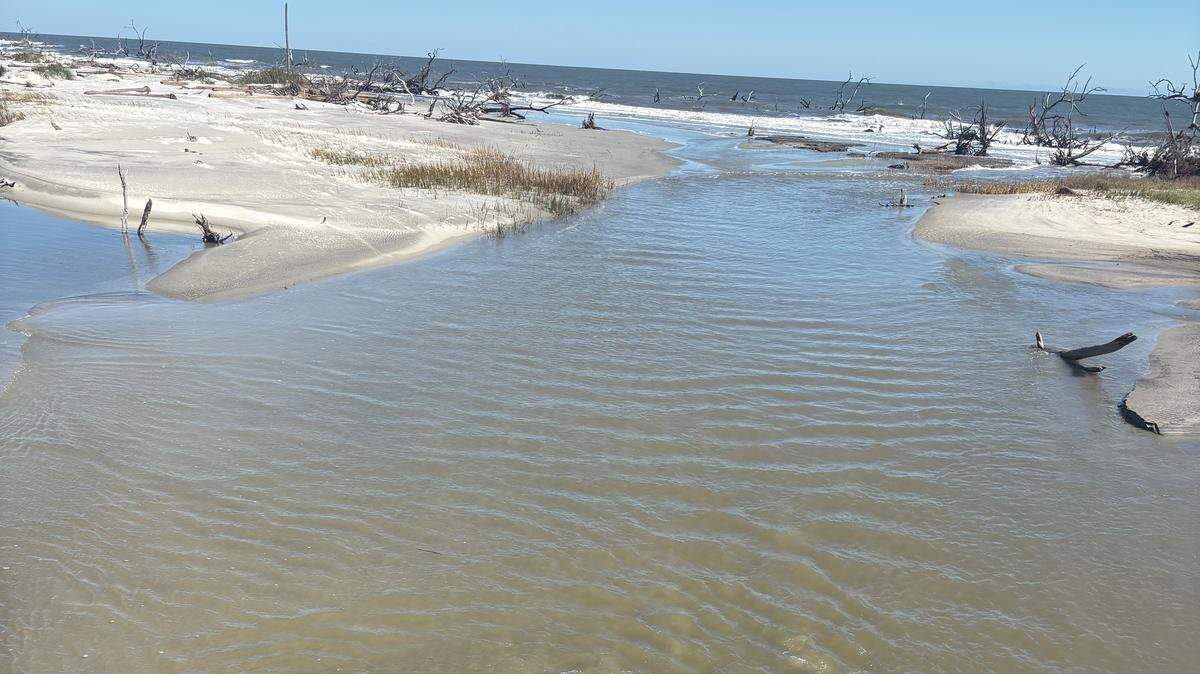 Shortly after the king tide event earlier in October, a new channel formed near the bridge over the lagoon on the southern end of Hunting Island State Park.