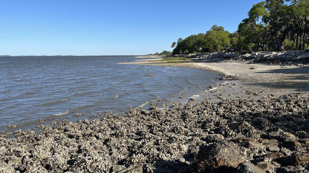 Marshland is rapidly disappearing along the Broad River due to erosion. A multi-agency effort to stem the loss is underway near Elliott Beach on Parris Island.