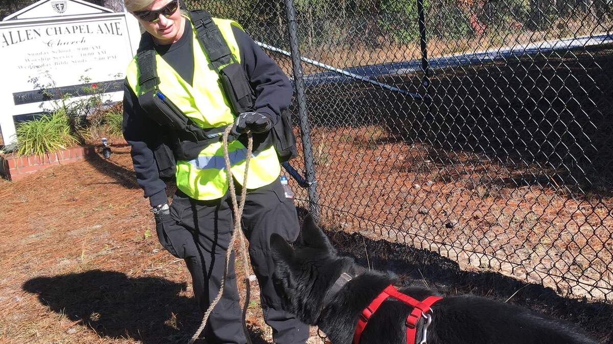 Tracy “Trace” Sargent works with her 4-year-old black German shepherd, Draco, just outside the fence of Marine Corps Air Station Beaufort in Grays Hill on Tuesday. Sargent used her dogs specially trained to find human remains to work with local archaeologists to find possible Revolutionary War gravesites from a key battle in the area.