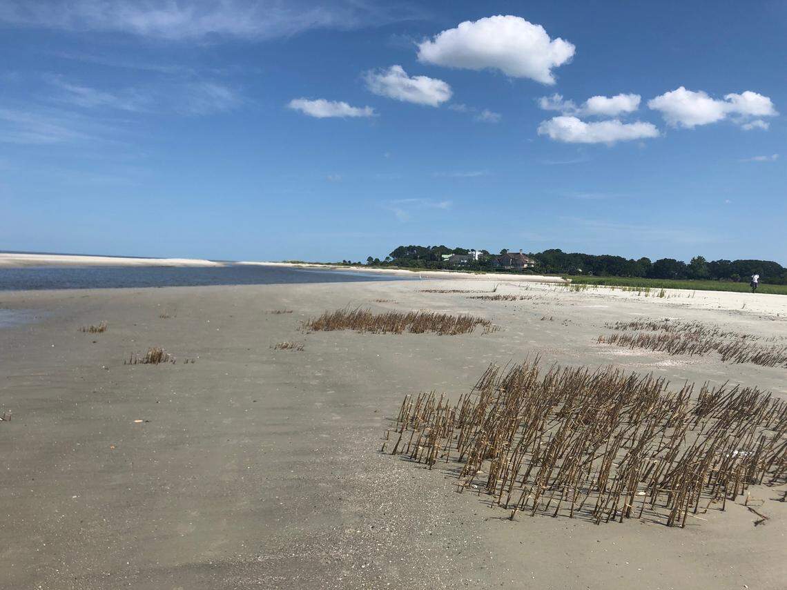 The waist-deep folly between Fish Haul and the Port Royal Plantation beaches on Hilton Head Island’s north end. Here, the sand is laced with ribbons of pluff mud.