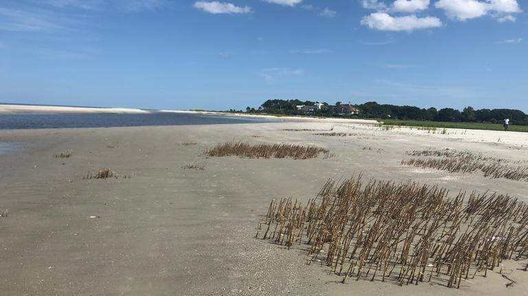Parents charged after allegedly losing child on Hilton Head beach while intoxicated