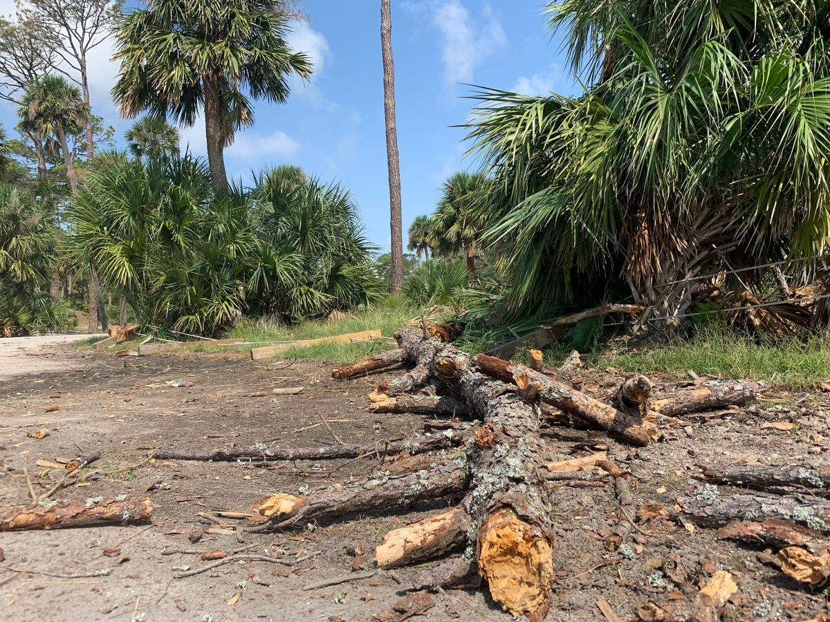 Hunting Island’s beaches reopened the Tuesday, Sept. 10, after Hurricane Dorian passed through Beaufort County. The campground was expected to reopen soon after. Trees and debris were still being removed.