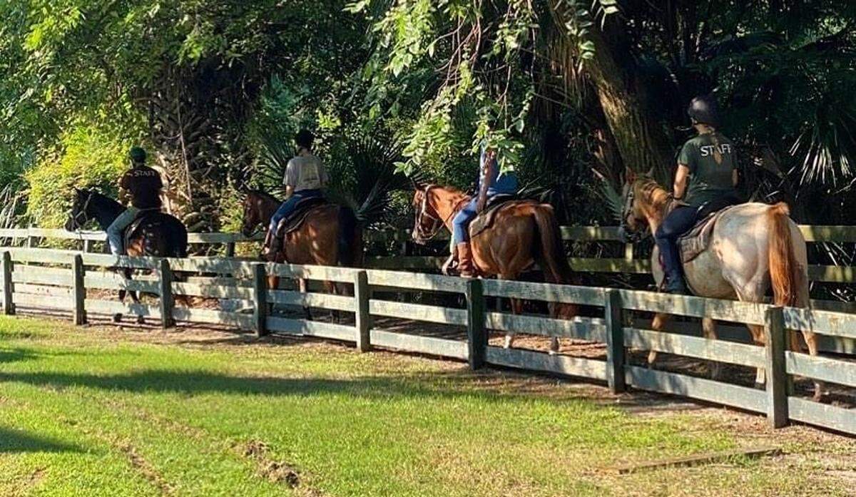 Lawton Stables employees warm up some of the horses.