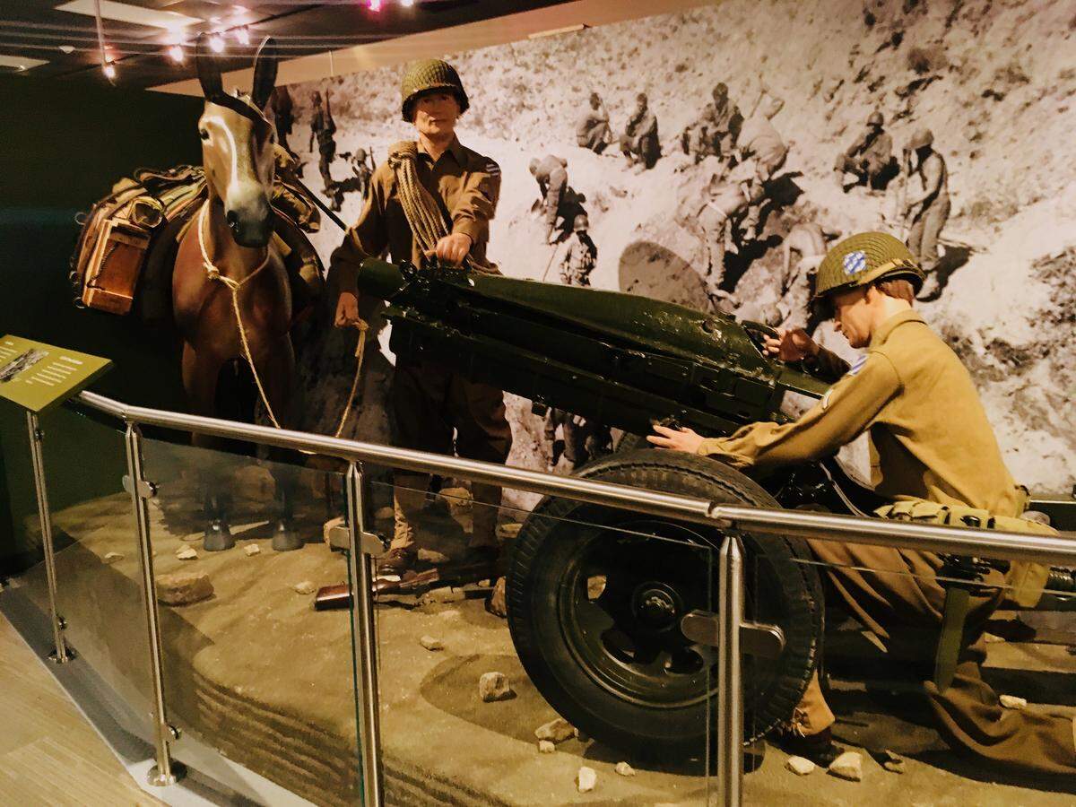 World War II saw the Third Infantry Division fighting in Europe. The Fort Stewart Museum in Hinesville, Georgia, recalls the Italian Campaign, in which pack mules worked with the soldiers in rough terrain and helped bring victory over fascism.