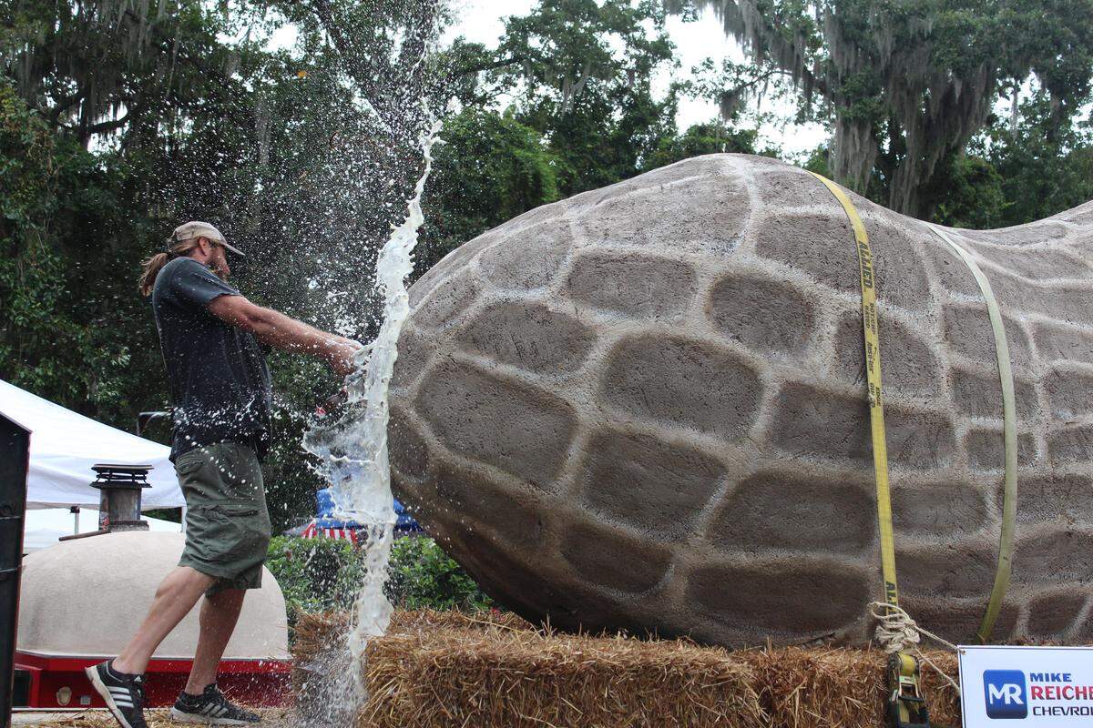 Erin M. Black, executive administrator with the Greater Bluffton Chamber of Commerce, sent in these photos taken at the Bluffton Farmer’s Market on Thursday Sept. 17 for the official Cracking of the Nut.