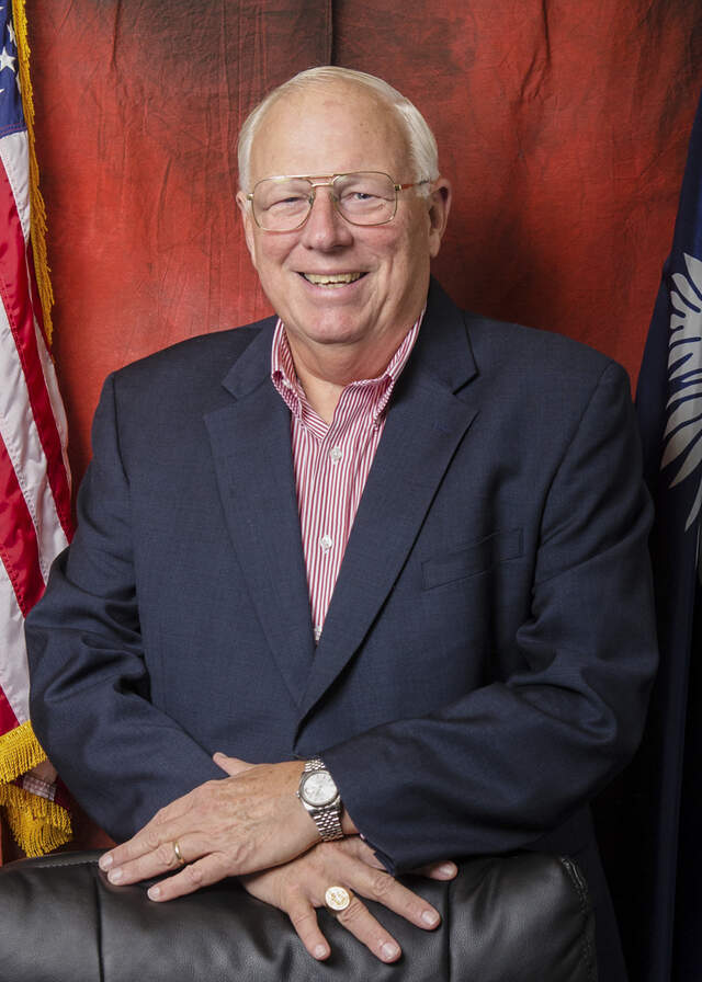 Former chairman faces test in Beaufort Co. SC Council race | Hilton ...