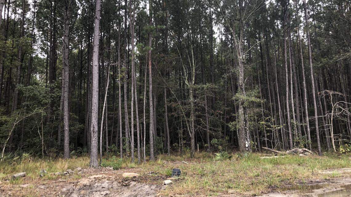 Bluffton ordinance doubles workforce housing requirement for new planned developments