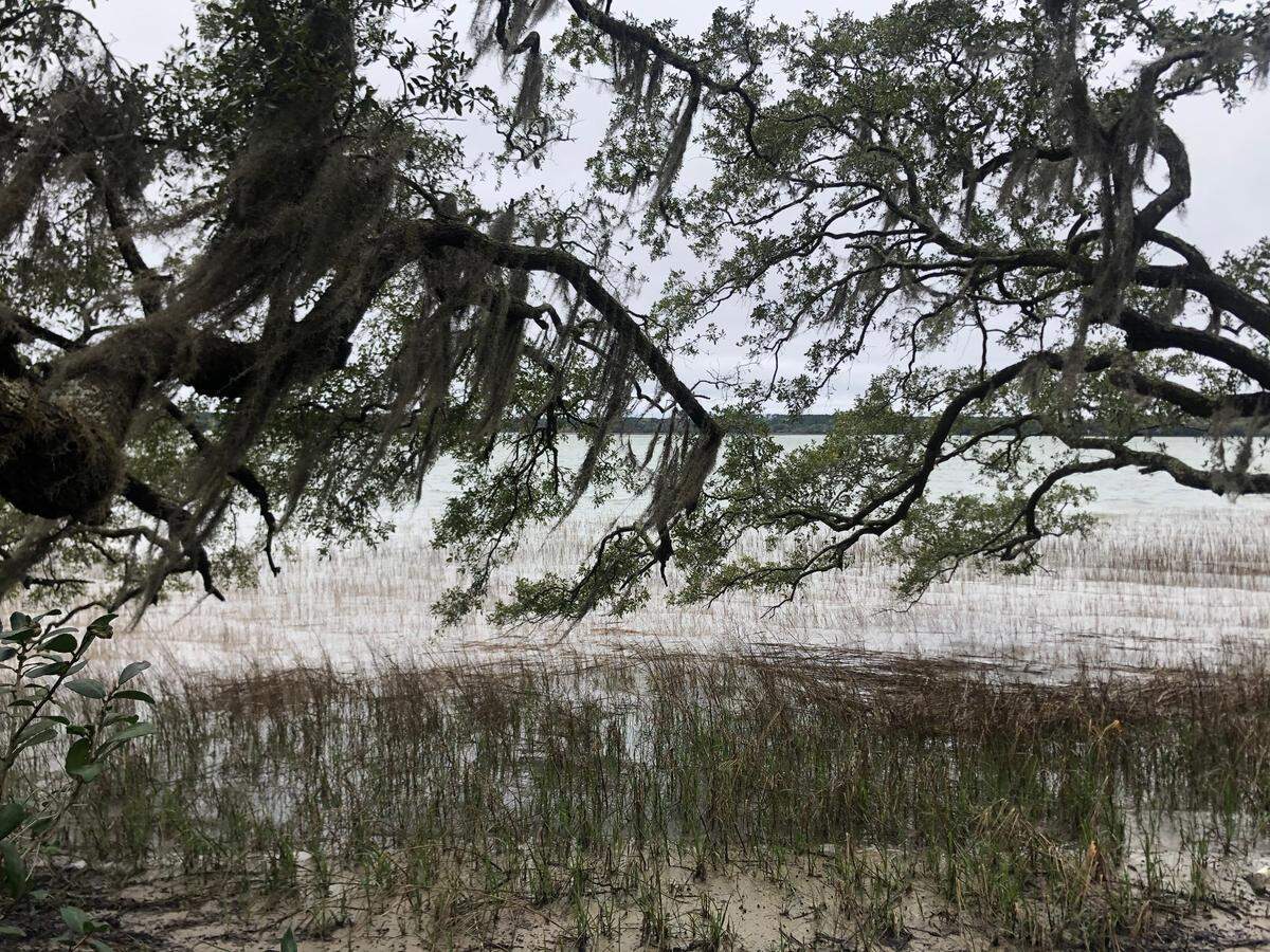 The waterfront view of Skull Creek at Ford Shell Ring, which will be developed as a park by the Town of Hilton Head Island and Beaufort County.