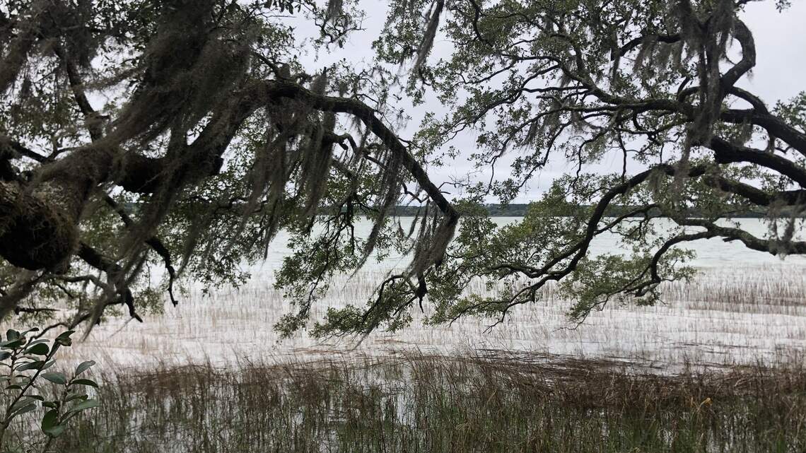 When will this waterfront oasis on Hilton Head, with ancient shell rings, open to the public?