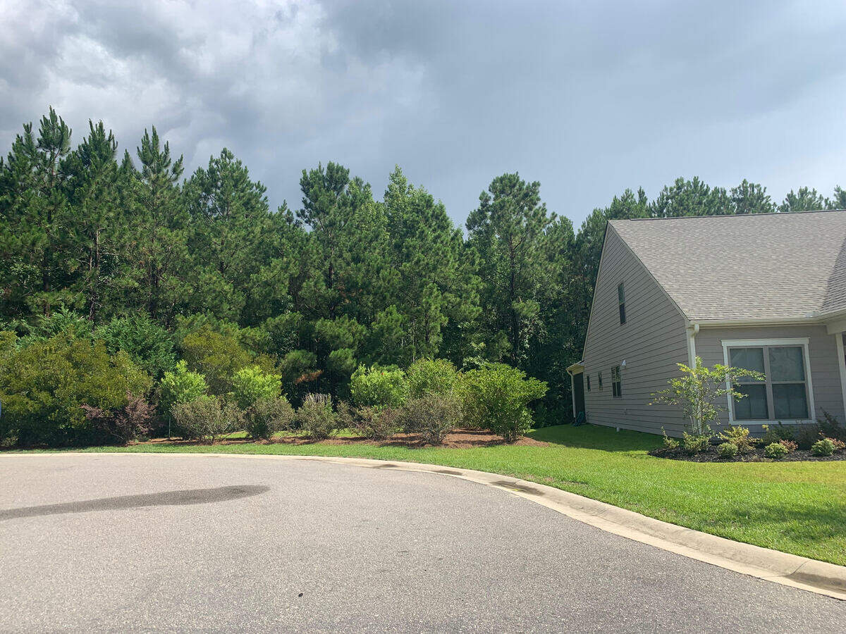 A view of the proposed comfort station site on Kings Creek Drive in Sun City.