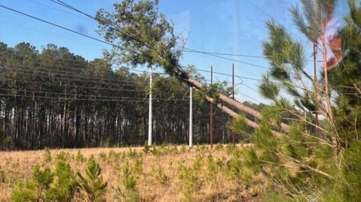 Palmetto Electric spokesperson Tray Hunter said the outage was caused by a contractor who was cutting a tree in the Hardeeville area when it fell onto a transmission line.