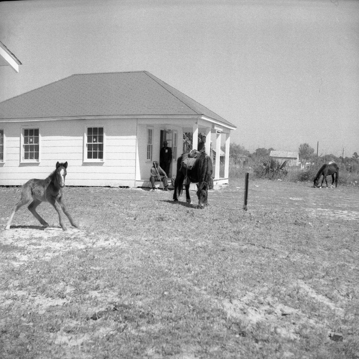Horses outside Hilton Head Island’s new post office built in 1953 near Wild Horse Road on U.S. 278. Beatrice Milley, who lived at Honey Horn and was known as “Miss Milley,” was the postmistress.