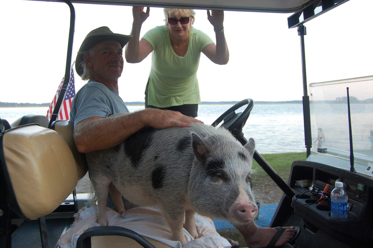 Walter “Wally” Sumner with his famous pet pig Miss Lila.
