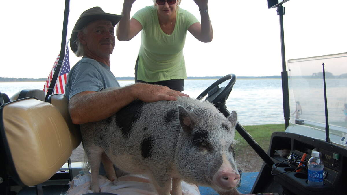 Walter “Wally” Sumner with his famous pet pig Miss Lila.