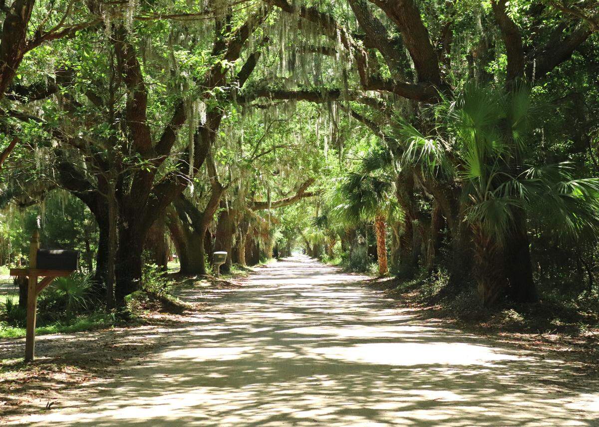 Avenue of Oaks on St. Helena Island is part of the tree-lined avenue leading to antebellum Coffin Point Plantation. It is now a quiet residential lane that extends from Coffin Point Road. The old plantation house is still standing and visible from the lane’s far end.