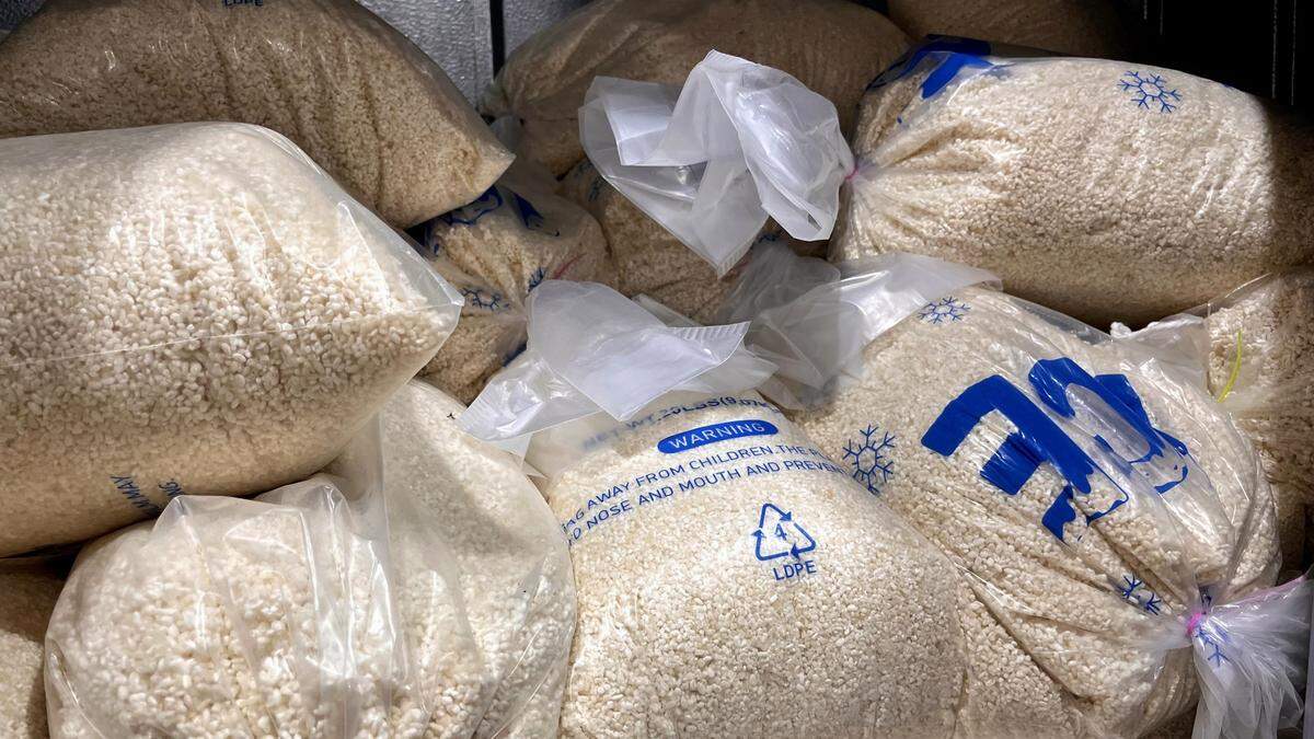 Refrigerated koji, the cultivated mold needed to make sake, at Origami